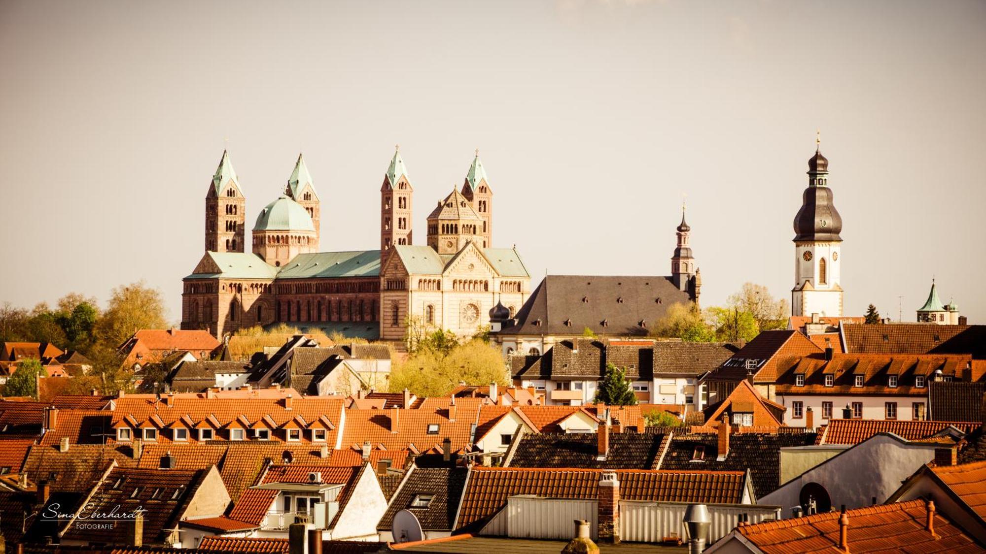 Dompanorama Der Weisse Pfau Apartment Fuer 2-4Pers Speyer Exterior foto